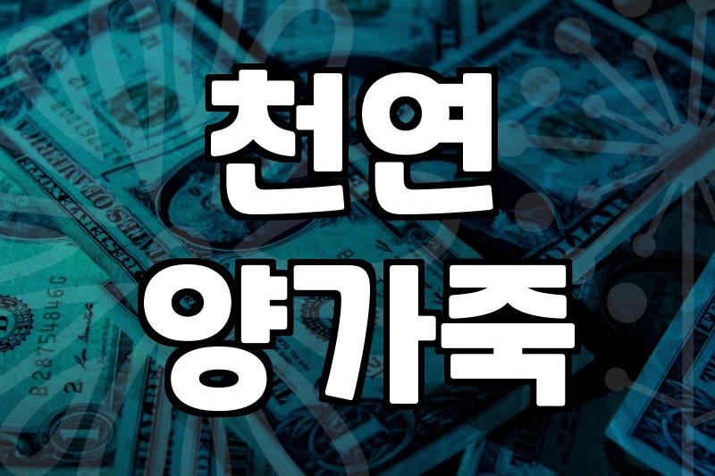 직장인 아우터 고민을 끝내줄 시리즈가죽자켓 현명하게 고르는 기준