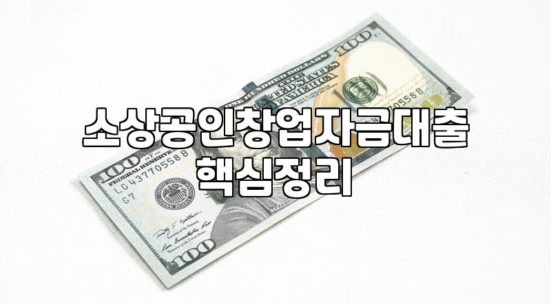정부정책자금대출 이용 조건과 심사 통과를 위한 실질적 기준