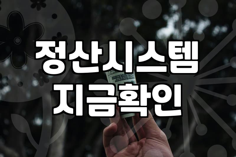 정부 보조금 신청 전 반드시 따져봐야 할 현실적인 기준