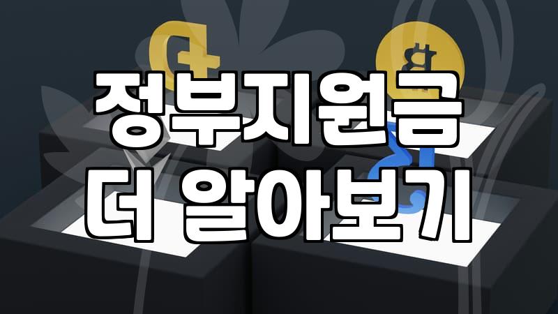 보조금 신청 조건과 현금 지원 시 주의사항