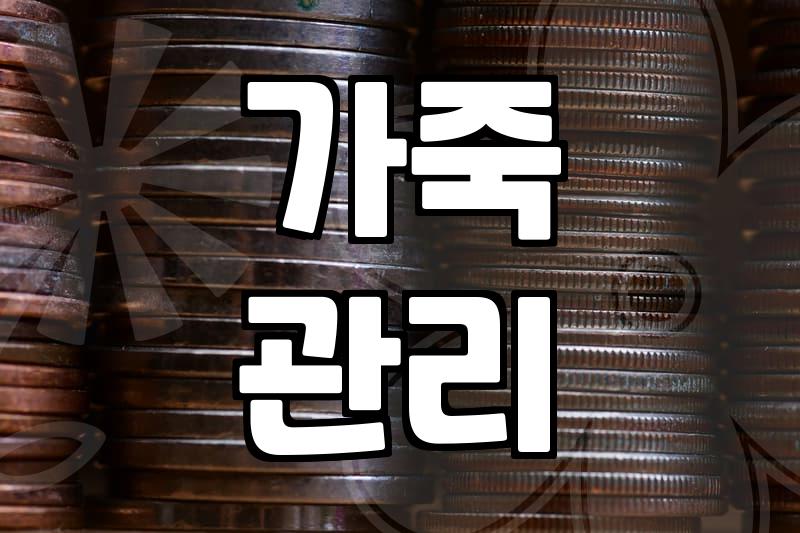 천연가죽가방, 이것만 알면 실패 없어요