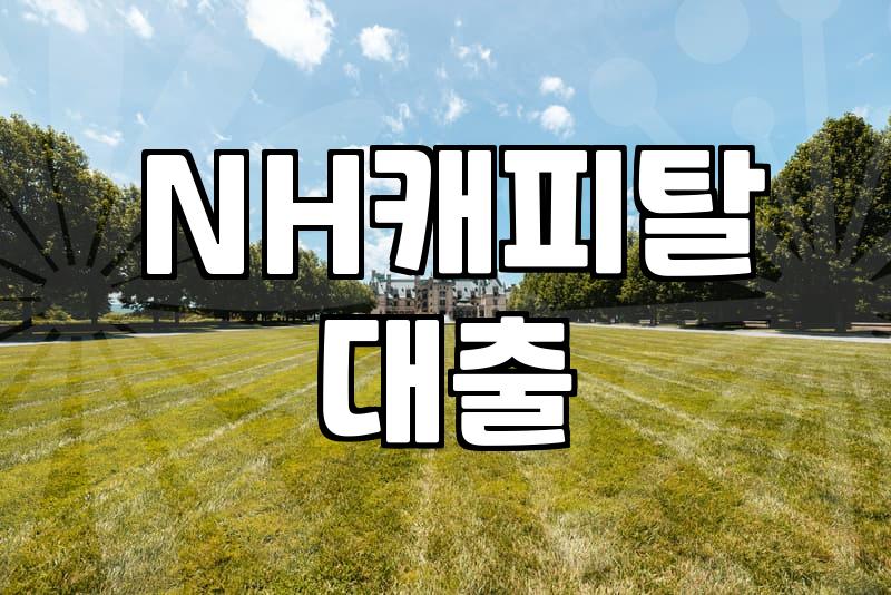 NH캐피탈 대출금 조회하다가 당구 중계나 보고 앉아있었다
