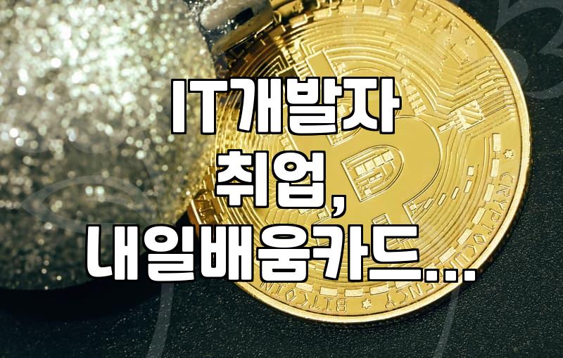 국비 지원 IT 아카데미 선택할 때 확인해야 할 실질적인 부분들