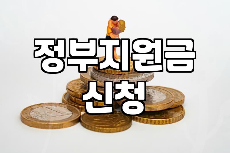 보조금 지급 기준과 신청 시 꼭 알아야 할 현실적 제한사항