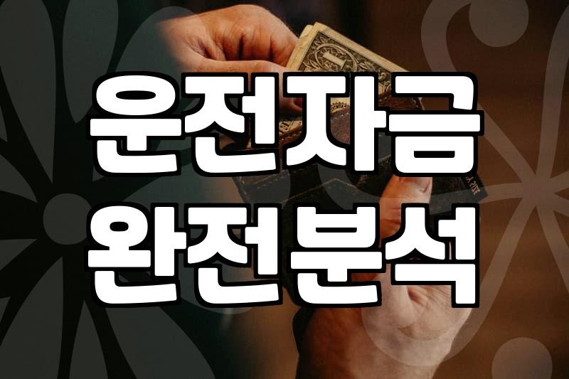 정부지원 운전자금, ‘이차보전’만 믿고 덜컥 신청했다가 낭패 본 후기