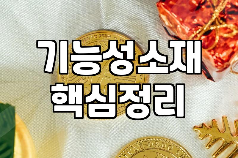 집업운동복, 하나로 끝내는 가성비 활용법