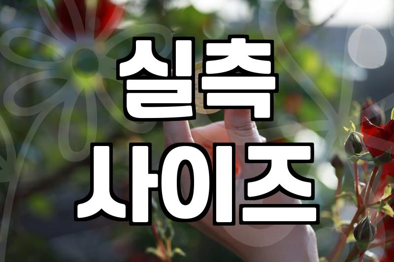 나에게 맞는 남자옷쇼핑몰 찾는 3가지 핵심 포인트