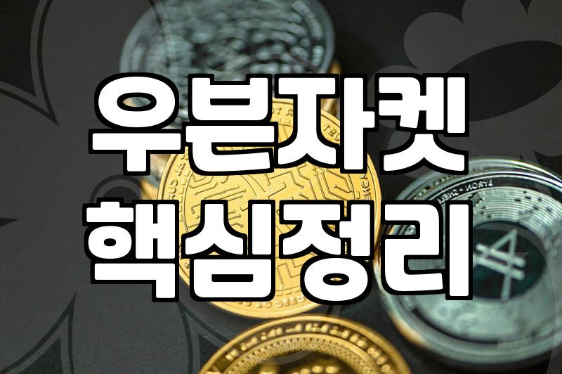 바람막이여성 제품 선택 기준과 가격대별 비교
