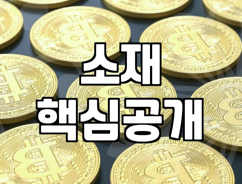 50대 원피스, 실패 없이 고르는 비법 공개
