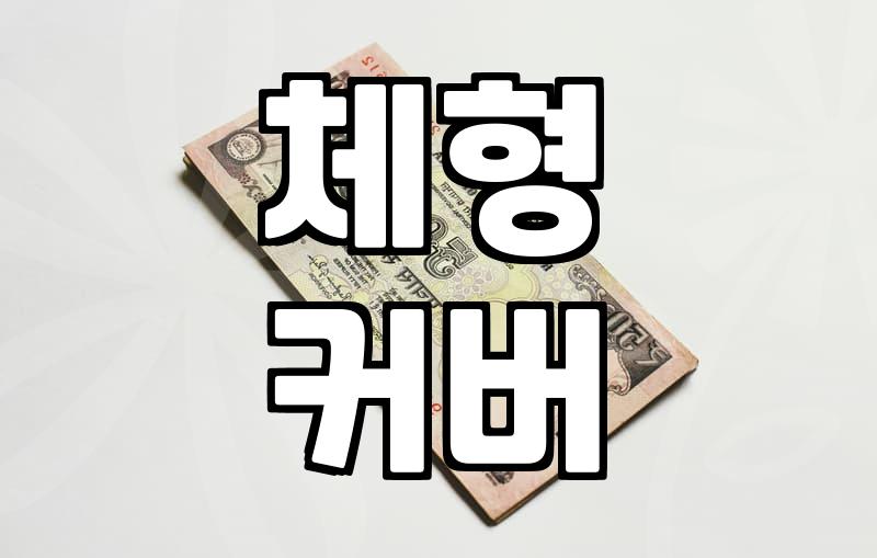결혼식 참석, 빅사이즈 하객룩 고민 끝