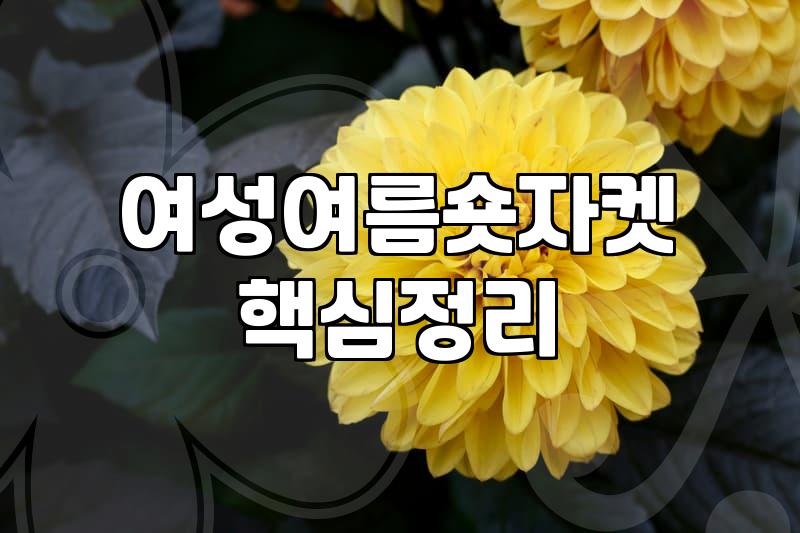 여름 셔츠 자켓, 비싼 브랜드보다는 활용도가 먼저입니다