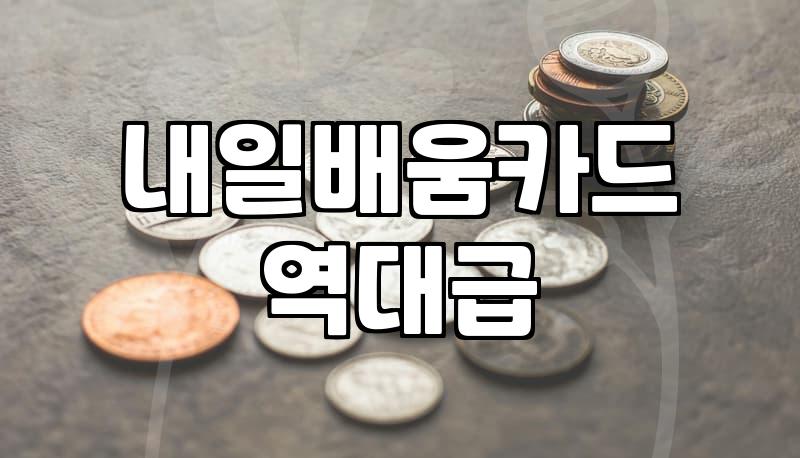 국비지원교육종류 선택 기준과 본인부담금 차이