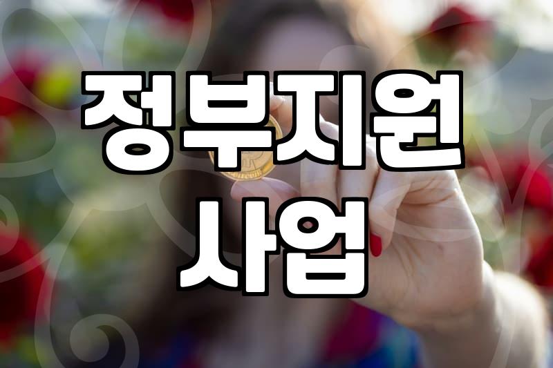 보조금 신청 조건과 현금 지원의 현실적인 자격 요건