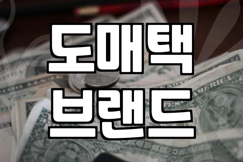 유행 안 타는 여성의류 도매택 브랜드를 현명하게 골라내는 방법