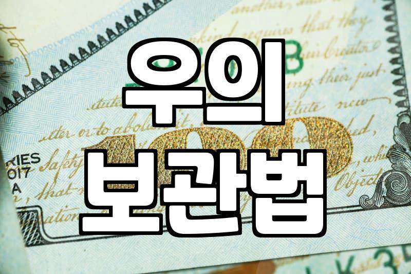 비 오는 날 야외 활동할 때 우비 고르는 현실적인 기준