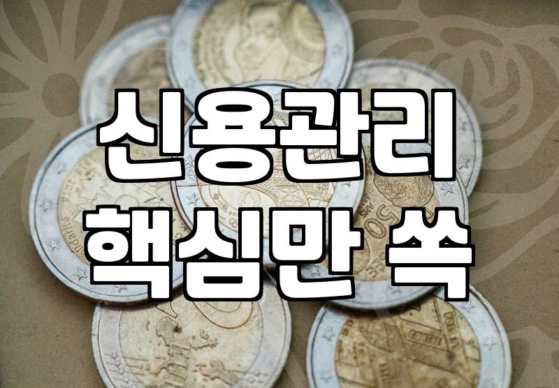 소진공대출 신청 전 반드시 따져봐야 할 현실적인 심사 기준