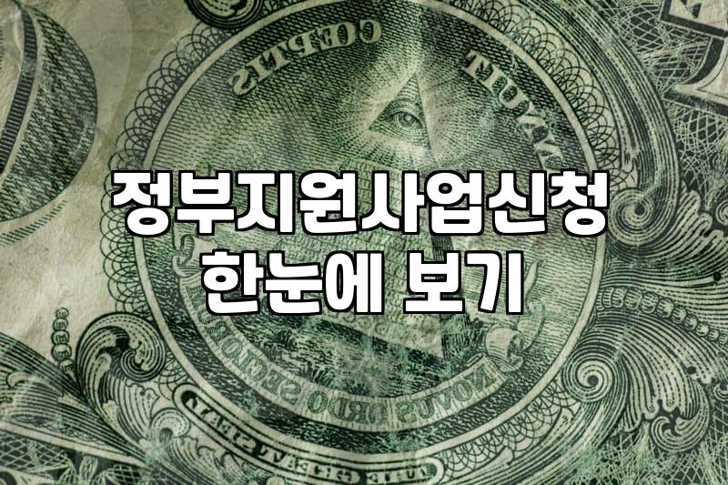 정부지원사업 활용해 사업체 운영 효율 높이는 현실적인 방법