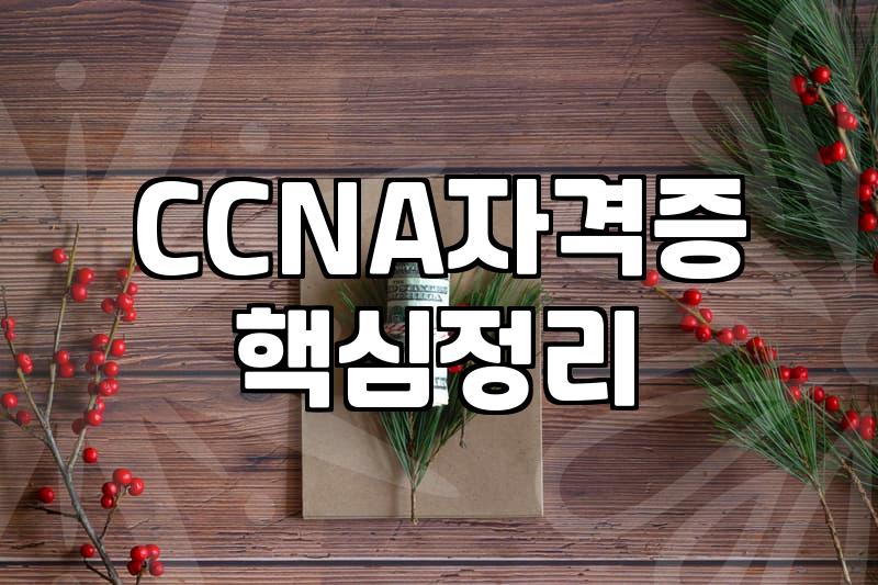 네트워크 엔지니어 준비 시 우선순위를 두어야 할 자격증과 실무 역량