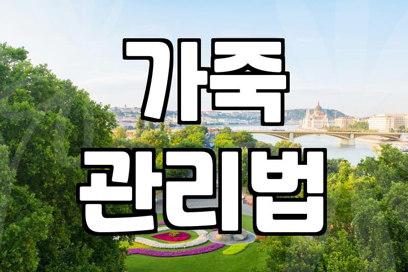 후회 없는 양가죽자켓 고르는 법