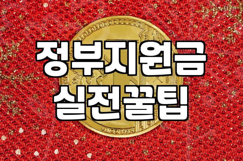 정부지원금, 신청하기 전에 꼭 알아야 할 현실적인 고민들