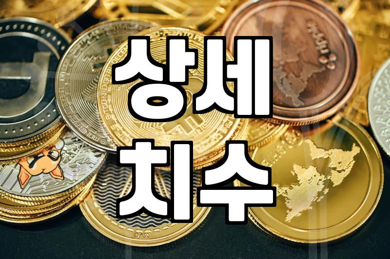 40대여성쇼핑몰추천 선택 기준과 실패 없는 옷 고르는 법