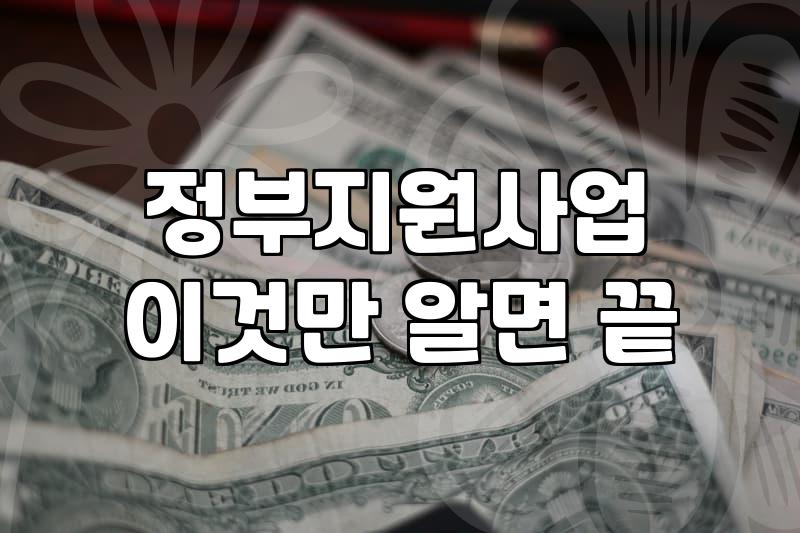 정부지원사업컨설팅 비용과 신청 시 고려할 실질적인 기준