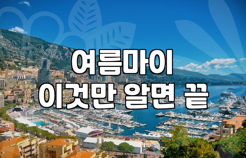 여름마이, 과연 입을 수 있을까? 현실적인 여름 아우터 고민