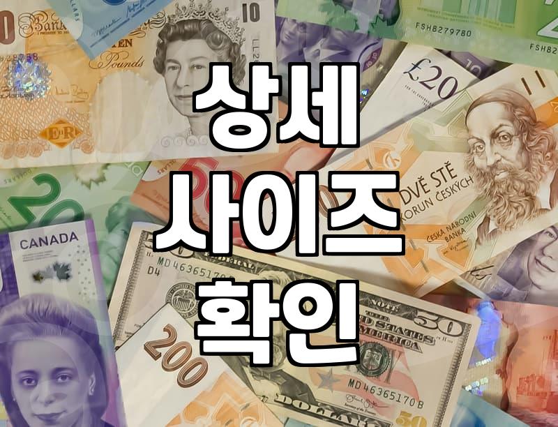 내게 맞는 여성의류쇼핑몰 효율적으로 찾는 현실 조언