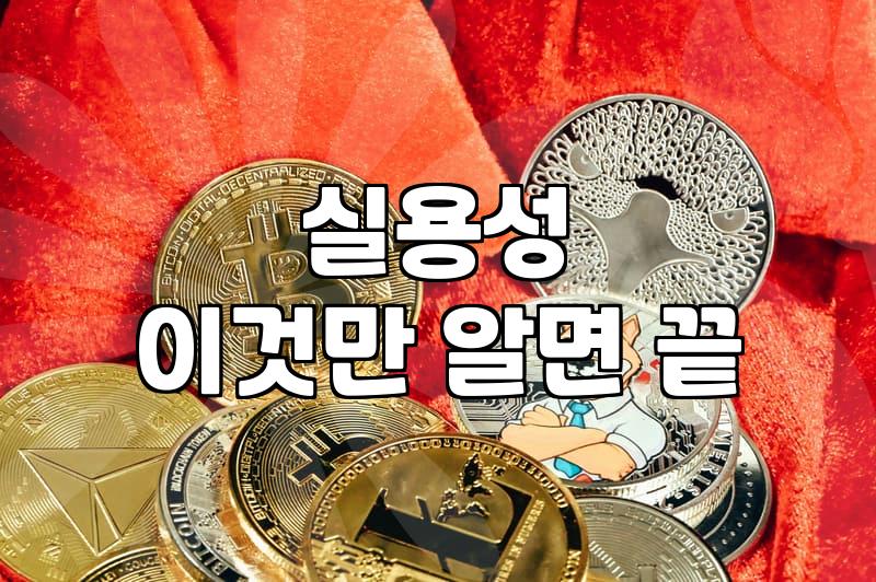 어떤 호보백을 사야 할까? 현명한 선택 가이드