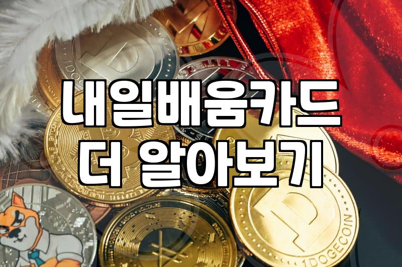 내일배움카드 계좌제 활용 전 반드시 체크할 현실적 기준