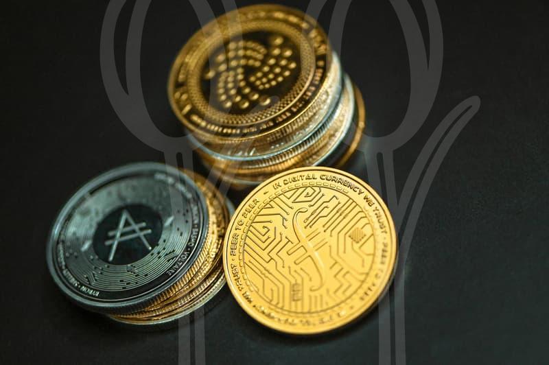 스타일과 기능 다 잡는 바람막이여성 쇼핑 가이드