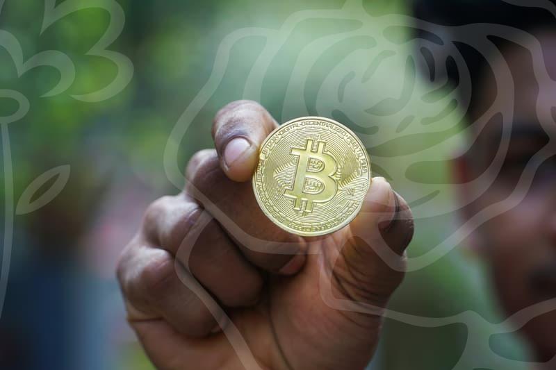 여름까지 뽕 뽑는 시스루바람막이 실패 없는 선택법과 소재별 장단점 비교