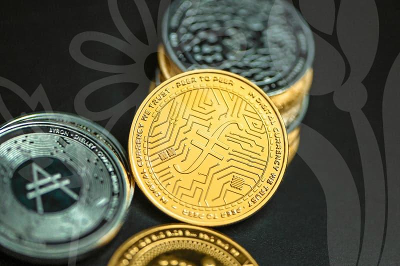 넘쳐나는 여성의류쇼핑몰 사이에서 나만의 인생 착장을 찾아내는 쇼핑 호스트의 안목