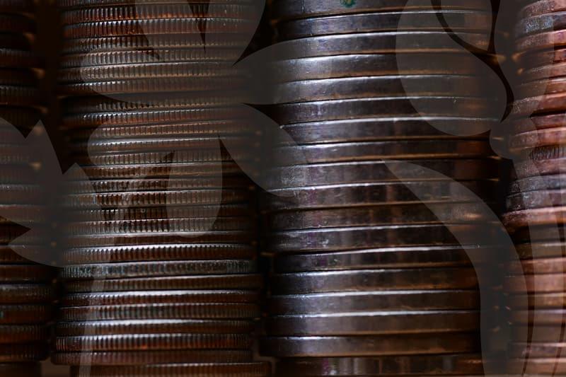 쇼핑 호스트가 직접 입어보고 고른 여성바람막이점퍼 후회 없는 선택 기준