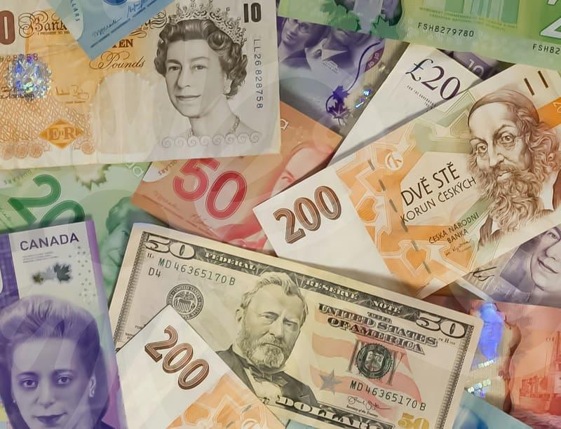 디자인만 보고 샀다가 후회하기 쉬운 담배케이스 실용성과 휴대성 따져보는 기준