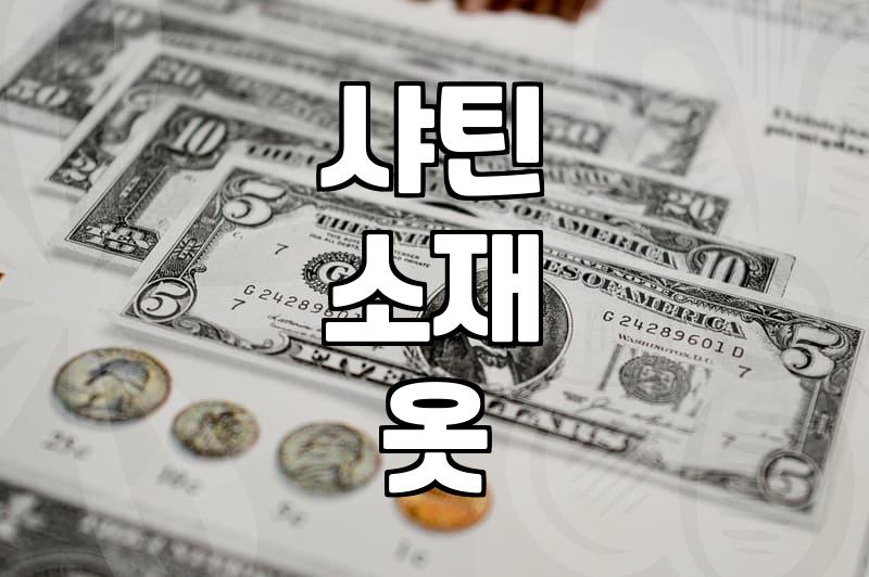 샤틴 스커트, 알고 사면 더 좋아요