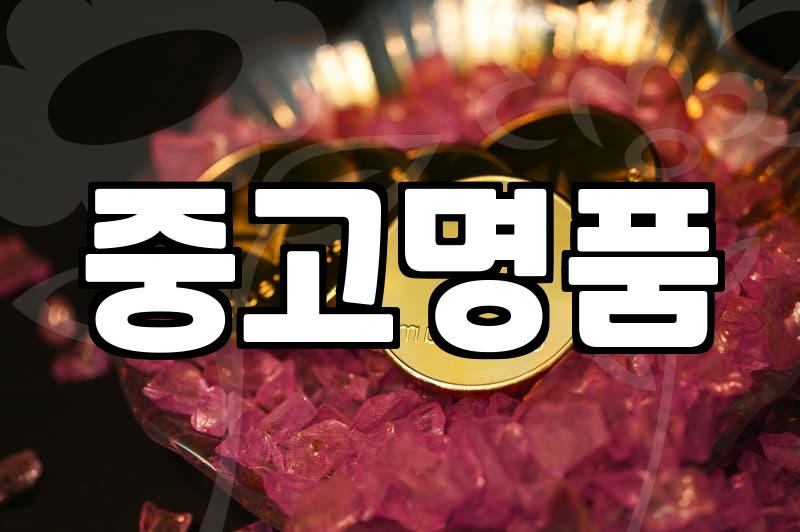 명품 로고보다 다이얼의 질감에 집중하게 만드는 더시티즌닥종이 시계만의 매력과 구매 전 주의사항