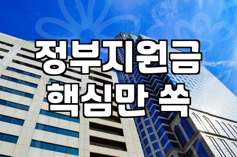 보조금 신청할 때 가장 많이 놓치는 선정 기준과 탈락 사유
