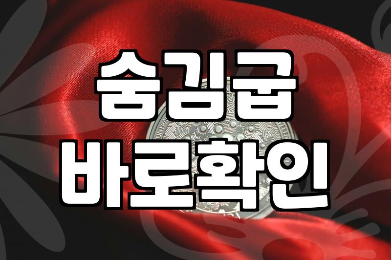 여성 키높이 운동화, 굽 높이 말고 이걸 봐야 합니다