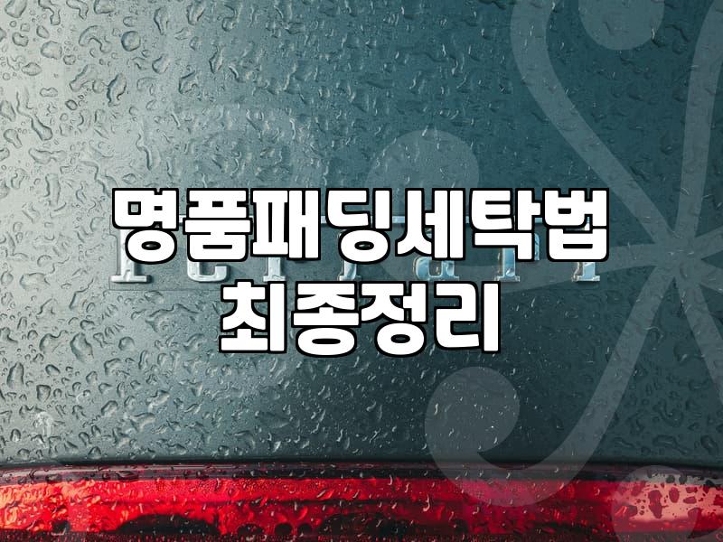 비싼 명품 패딩, 매번 세탁소에 맡기는 게 정답일까?
