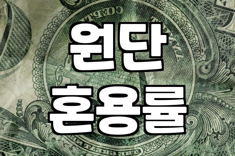 세련된 분위기를 완성하는 3040여성쇼핑몰 선택과 실패 없는 공개수업 옷차림 준비법