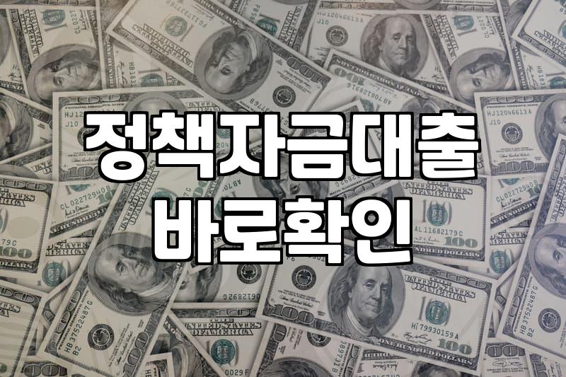 정부지원금, 현명하게 활용하는 법