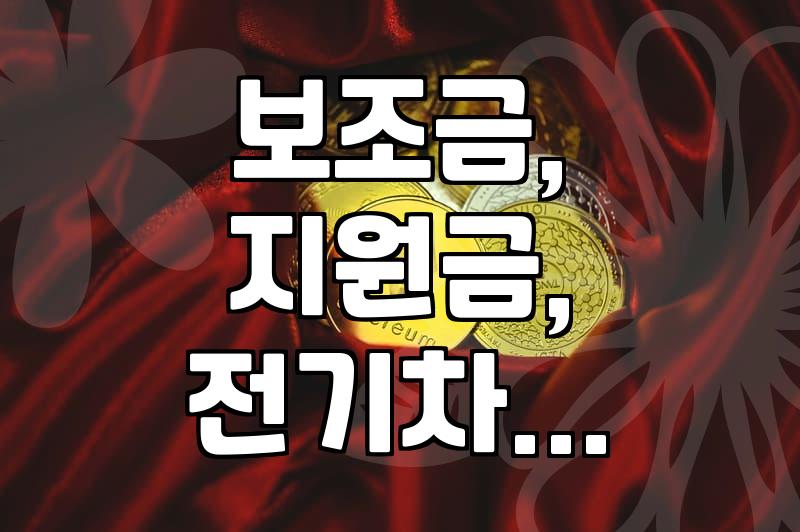 보조금, 지원금, 어떻게 쓰이고 있나? 현실적인 이야기