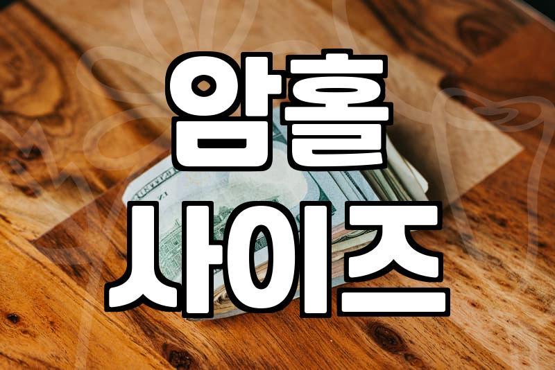 매일 아침 옷장 앞에서 고민을 줄여주는 여성니트베스트 선택의 기술