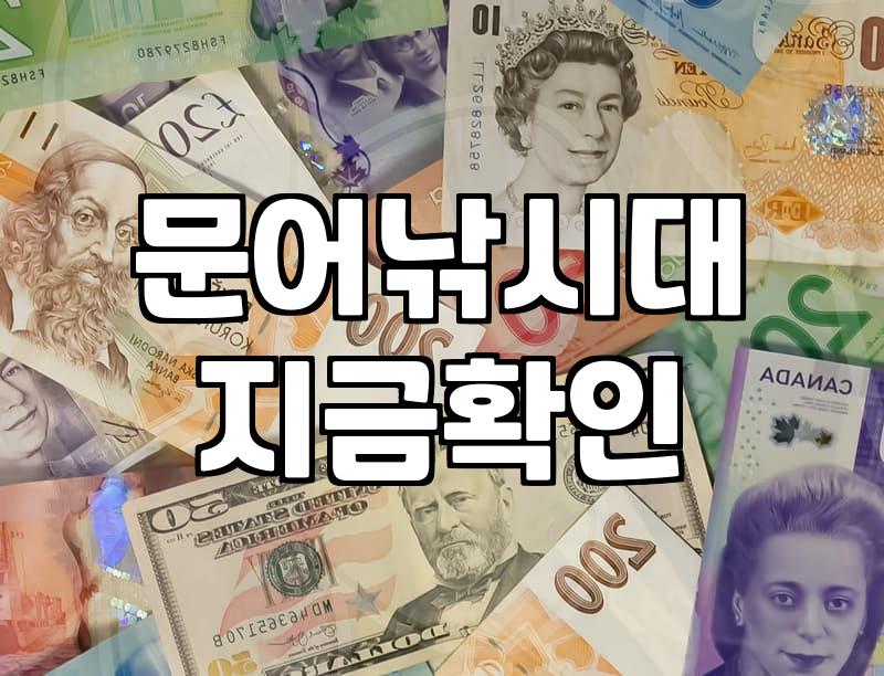 문어낚시 해보겠다고 장비부터 샀다가 낭패 본 이야기