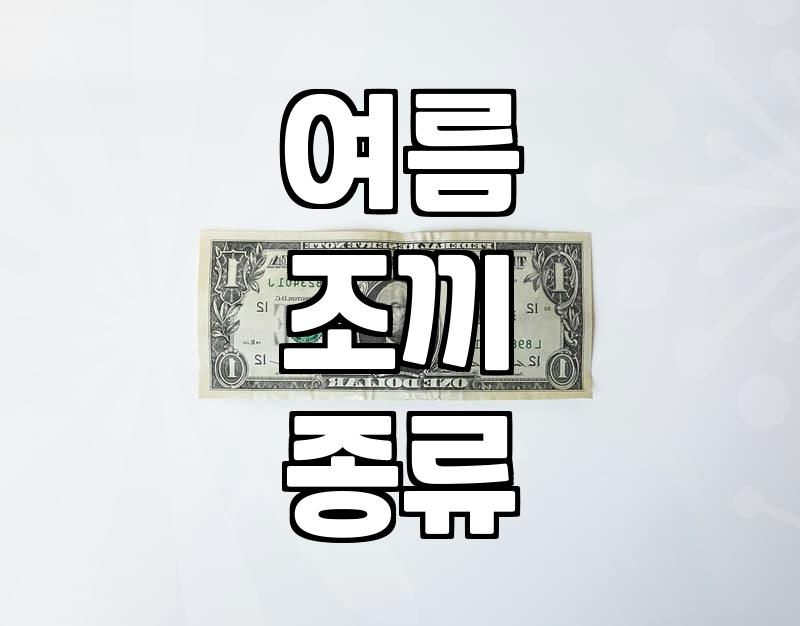 여름에 시원하게 입을 만한 조끼, 어떤 종류가 있나요?