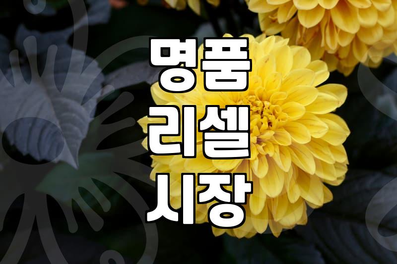 중고 루이비통 가방, 후회 없이 구매하는 법