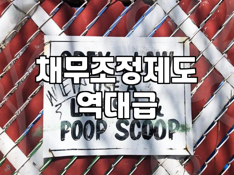 개인파산회생 신청 전 반드시 확인해야 할 자격 조건과 실패 없는 준비 방법