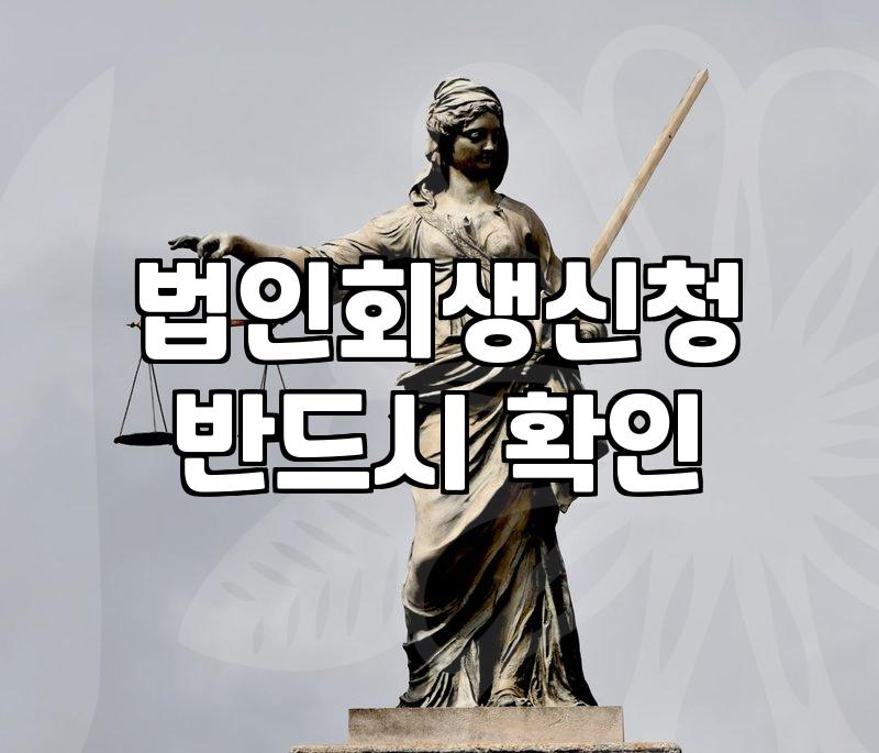 법인회생절차 신청 전 반드시 확인해야 할 성공 요건과 실무 가이드