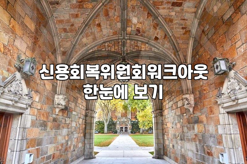 개인채무조정 제도별 차이점과 본인에게 유리한 선택 기준
